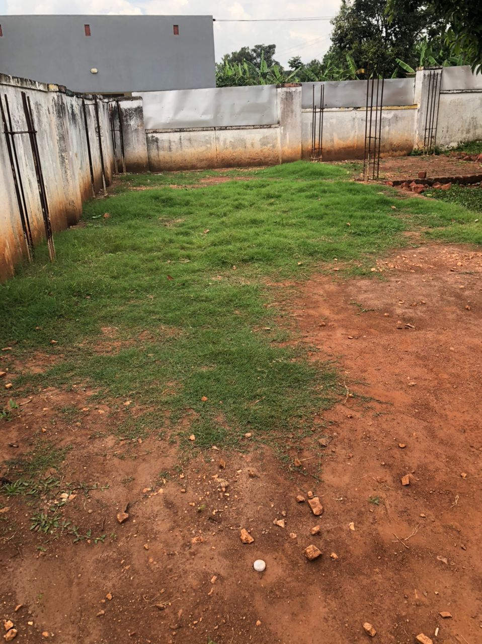 Proposed Building Current Status Foundation